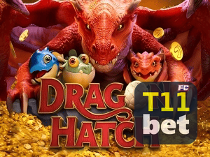 T11BET PIX instantâneo Brasil - Depósito e saque em minutos 24/7